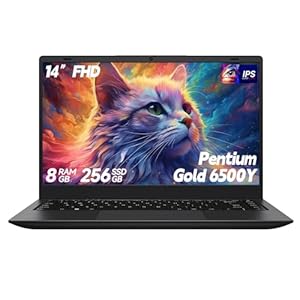 Computadora portátil, 8 GB RAM 256 GB SSD, portátil con oro 6500Y (Beat N5095, hasta 3.4 GHz), pantalla FHD IPS de 14 pulgadas, tipo C, HDMI, USB3.2, BT5.2, WiFi 5, portátiles