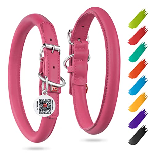 WAUDOG Ultra Soft Rolled Leather Dog Collar - Soft Padded for Small and Medium Breeds - Puppy Collar...
