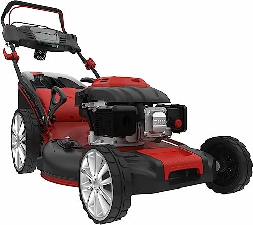 Rasenmäher BIG WHEELER 554.1 R TRIKE