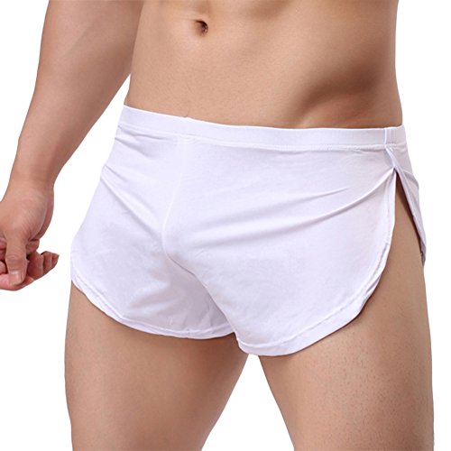 sandbank Mens Sexy Transparent Underwear Sheer Bikini Boxer Shorts Brief Panties3