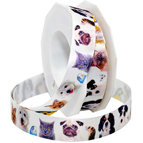 Morex Ribbon Precious Pets - All Animals Ribbon, 7/8 Inch By 20 Yards, White #TOP5