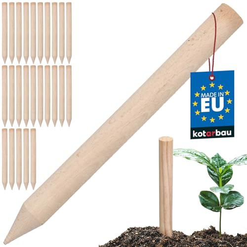 KOTARBAU® Lot de 25 piquets en bois de hêtre, 30 cm, piquets en bois, piquets en bois de hêtre, piquets de plantation, poteaux en bois, piquets de terre, piquets en bois dur, piquet de terre rond