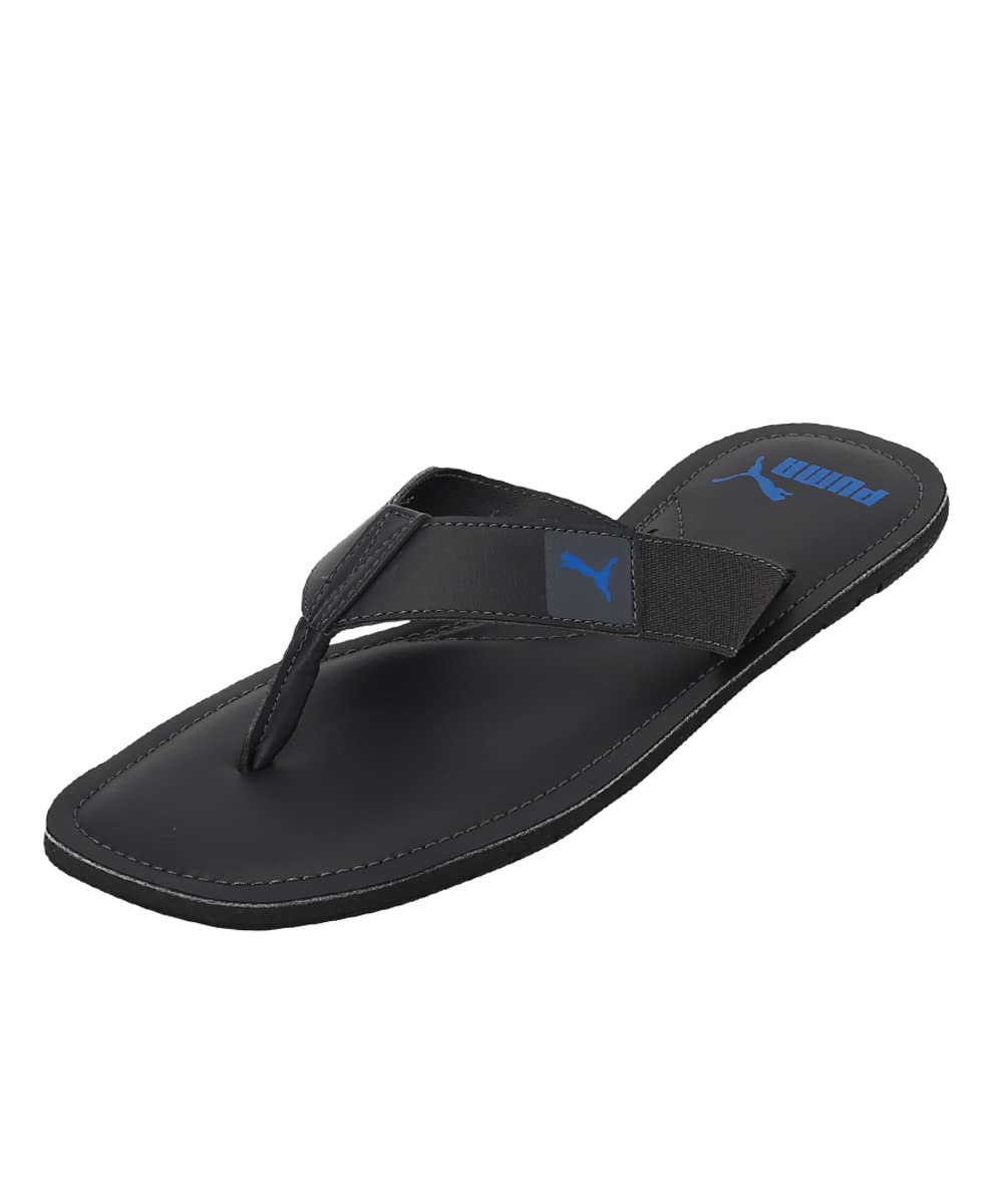 Puma mens Capster V3 Spring Blue-Dark Shadow Flip-Flop - 7 UK (38794602) (B09RPGV5F9) Amazon Price History, Amazon Price Tracker
