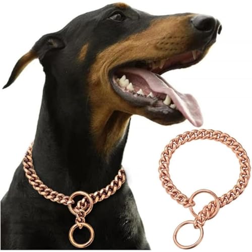 Wnbsiue̎փt@bVS[h`F[փXeX|`F[勭͂ȃybg`[J[^g[jOV[v ([YS[h,60cm)