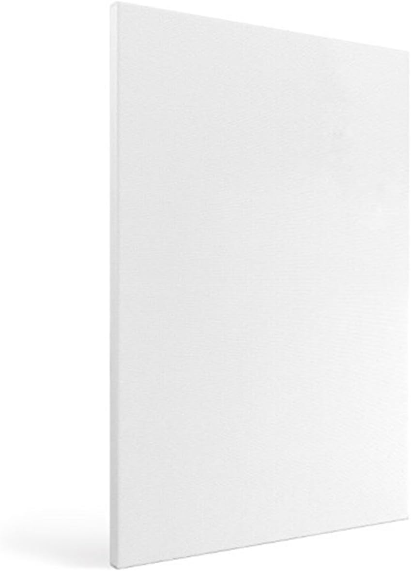 4pcs Artist Canvas Boards for Students 20x20cm White