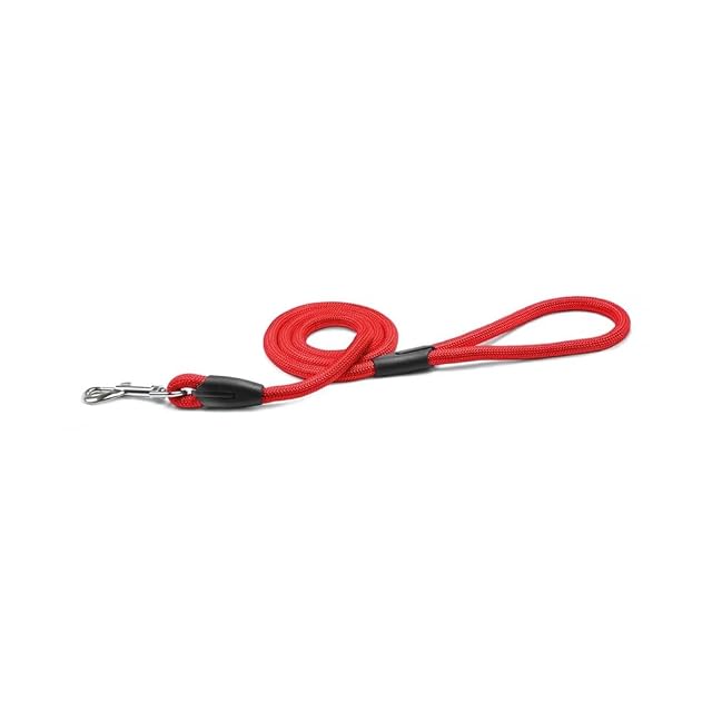 Record - Correa para Perro Tubular - Fabricada en Suave y Resistente Nailon con Detalles de plástico