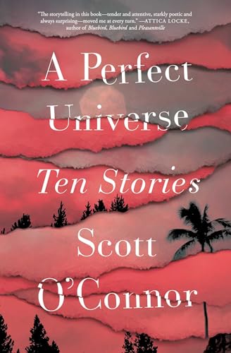 Buy A Perfect Universe: Ten Stories — BookShops.in