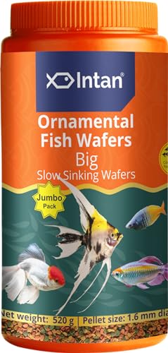 Image of Aquatic Intan Ornamental Fish wafers Fish Food | Big Slow Sinking Wafers for Aquarium Fish | Wafers for Health & Growth | Jumbo 520 g, Pellet Size 1.6 mm Dia