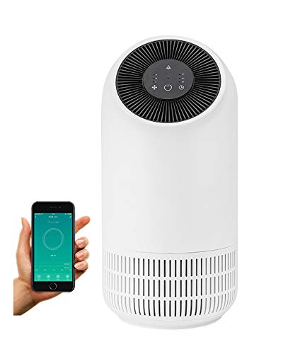 google home air purifier