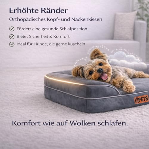 CORTES PETS Orthopädisches Hundebett für Kleine Hunde 61x48 cm -Hundekörbchen - Hundekissen - Waschbar - mit erhöhte Ränder - Hundesofa kleine Hunde – Memory Foam - Wasserfeste Hundebetten
