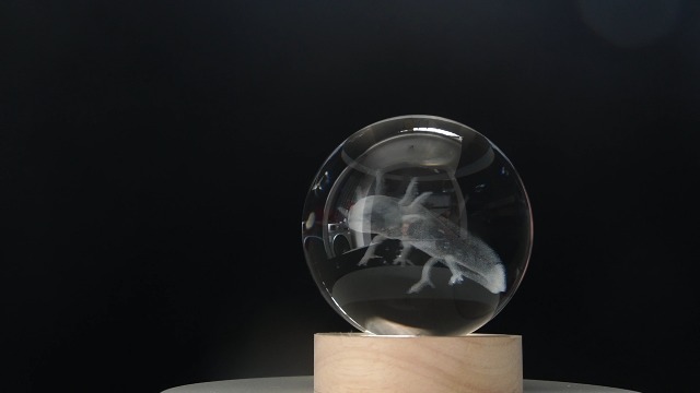 Image of Axolotl Night Light with Upgraded 3.15 Inch 3D K9 Crystal Ball, Axolotl Lamp with Remote 16 Color Gifting Box for Birthday Xmas Cool Axolotl Figurines Gifts for Room Decor Boys Girls