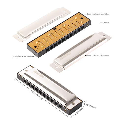 East top Lot de 7 harmonicas bleus diatoniques à 10 trous pour adultes, professionnels et étudiants - Les Beatles, Paul McCartney, John Lennon, RIngo Starr, George Harrison East top Lot de 7 harmonicas bleus diatoniques à 10 trous pour adultes, professionnels et étudiants – Image 3