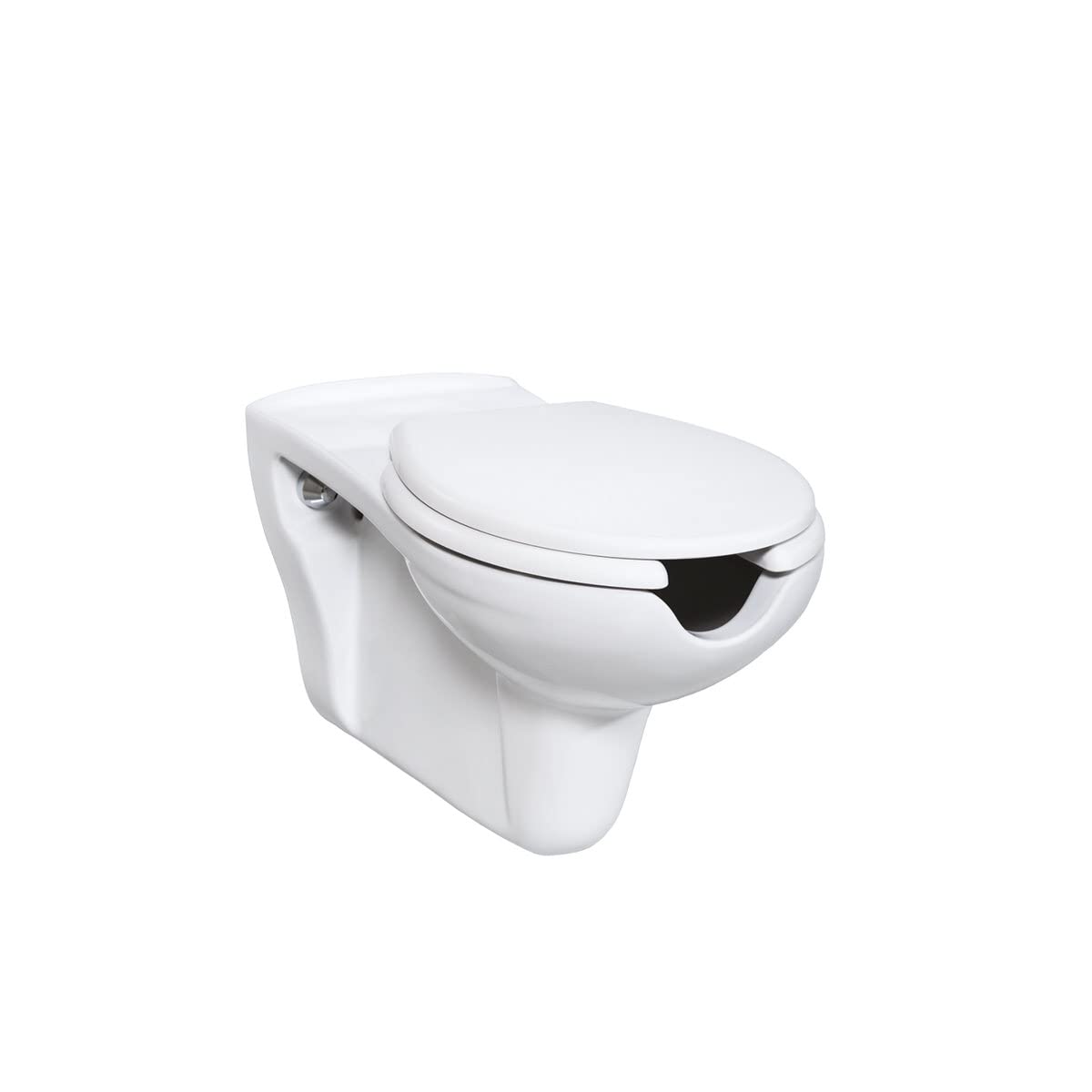 Creavit Inodoro colgante accesible para discapacitados y sin barreras, inodoro extralargo con tapa de inodoro, inodoro de pared, lavabo de inodoro, inodoro colgante, profundo lavavajillas de cerámica