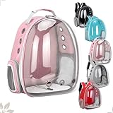 Mochila Pet Acrílico Para Cachorro Gato Cão Visão Panorâmica (Rosa)