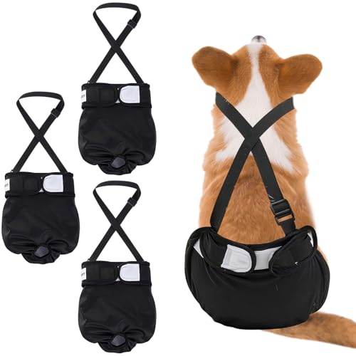 Image of Dog Diapers Female, 3 Pack Puppy Diapers Female, Washable Reusable Dog Diapers with Suspender for Peeing for Small Medium Large Female Dog in Heat Cycle Period Incontinence, Super Absorbent (M)