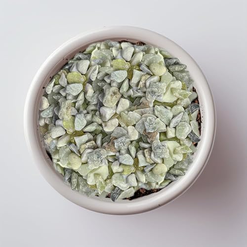 Image of 1.1 LB Natural Small Jade Gravels Mini River Rocks,Light Green Mix | Decorative Soil Cover Pebbles Stones for Succulent Plant,Planter Bonsai,Fairy Garden,Candle Home Decor