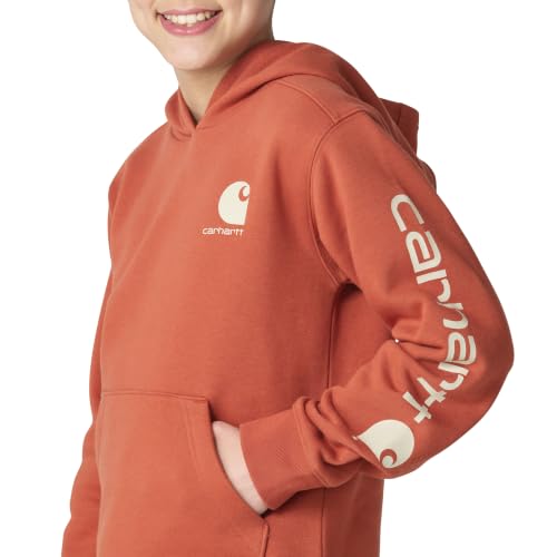 Image of Carhartt Boys Long Sleeve Hooded Sweatshirt