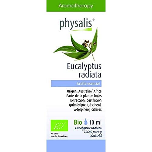 Eucalipto Radiata 10 Ml