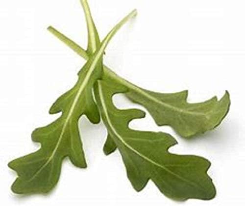 Miniatura 3 de Mezcla de brotes de Leafy Garden de 12 onzas, mezcla perfecta de semillas de germinación de trébol, rúcula, rábano y fenogreco, Country Creek LLC,