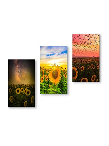 Image of 999STORE The Rising Sun Over Sunflowers home room decor framed stylish modern wall frames hanging items for living (Set of 3 Panels Paper Print 24X15 Inches) MDF3Frames021
