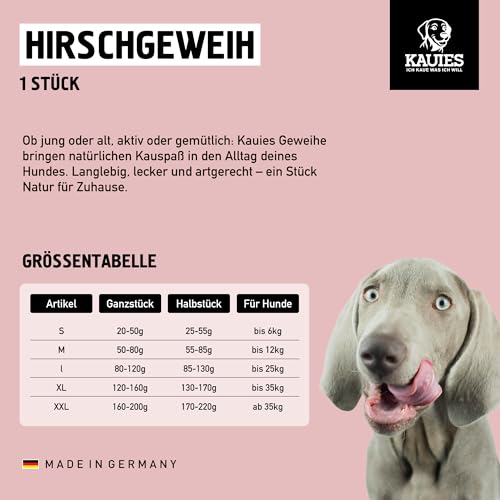 Kauies Hirschgeweih für Hunde halb - Monoprotein, 100% natürlich, zuckerfrei und kalorienarm - Made in Germany, nachhaltig und tierversuchsfrei - Größe L