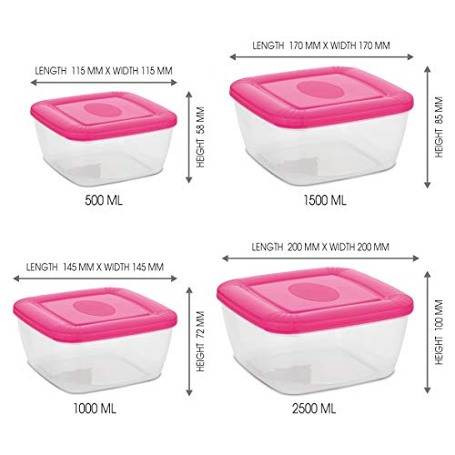 Image of Asian Plastowares Plastic Flora Container, 500ml, 1 Litre, 1.5 Litre, 2.5 Litre, Set of 4, Color May Vary