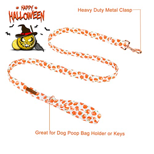 Image of Dog Leash & Collar Set, Sturdy Durable Cotton, Halloween Pumpkin Pattern for Small to Large Dogs