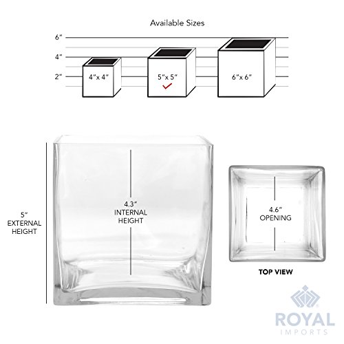 Royal Imports Flower Glass Vase Decorative Centerpiece for Home or Wedding Clear Glass, Cube Shape, 5" Tall, 5"x5" Opening - Thumbnail 6