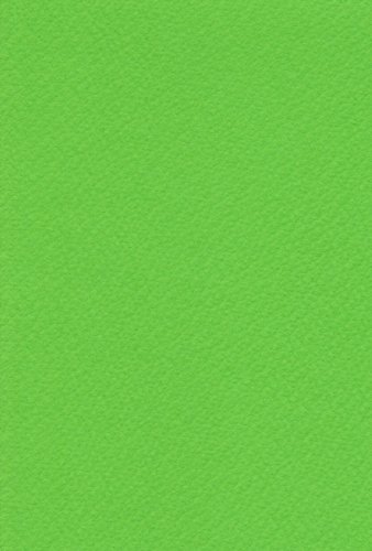 エスケント 水彩紙 マーメイド 153kg 八切 わかみどり 100枚 371188