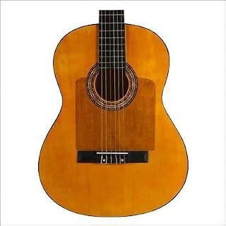 Ortola 2659 Pickguard Transparent – Image 2