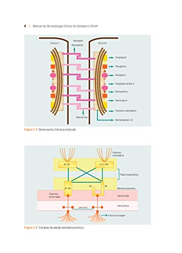 Manual de Dermatologia Clínica de Sampaio e Rivitti