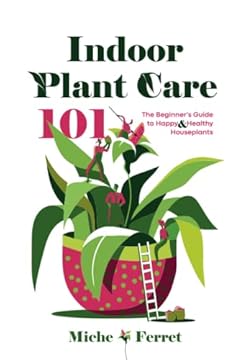 best large indoor plant