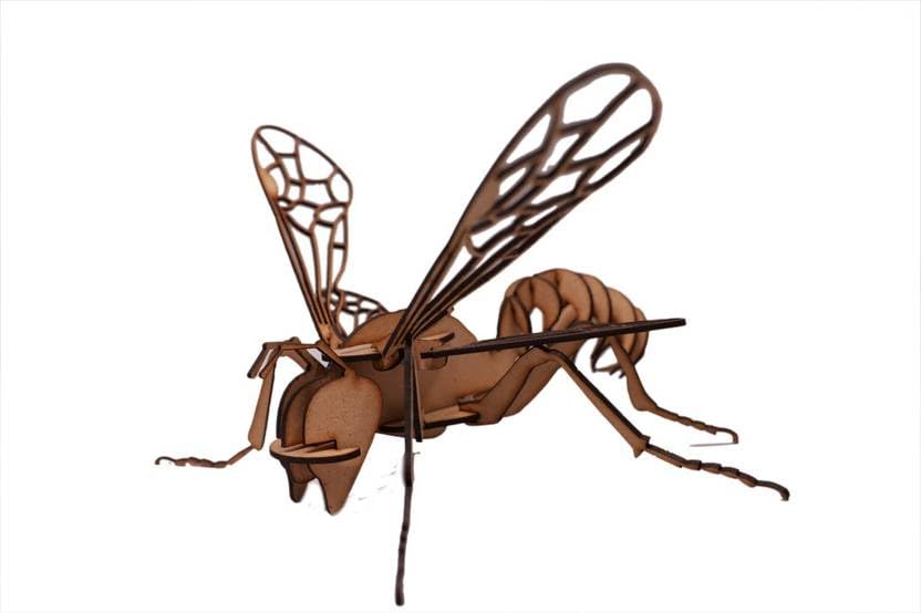 Mosquito Model DIY Kit – Wooden Science Toy for Kids | Early Learning STEM Craft Kit & Decorative Showpiece