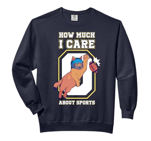 How Much I Care About Sports Jersey Comfort Colors Adult