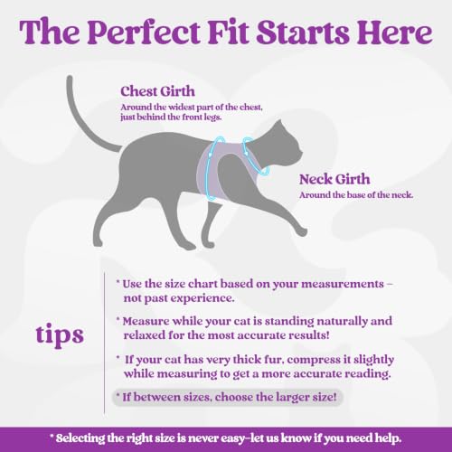 Image of rabbitgoo Cat Harness and Leash Set, Step-in Soft Vest, Purple-Light Purple