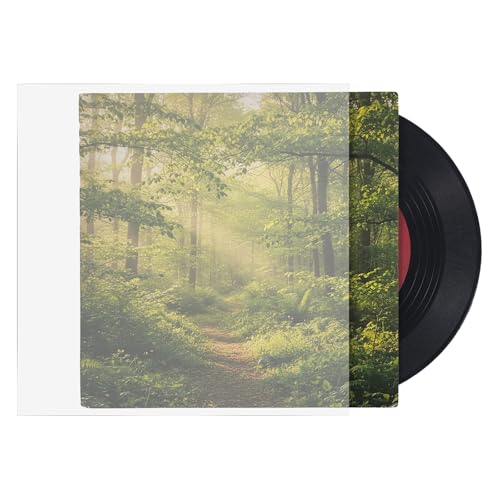 Vinyl Record Sleeves Outer 7 inch Clear Anti- Static Outer Record Sleeve EP Album Covers for Records Storage and Protection 25pcs