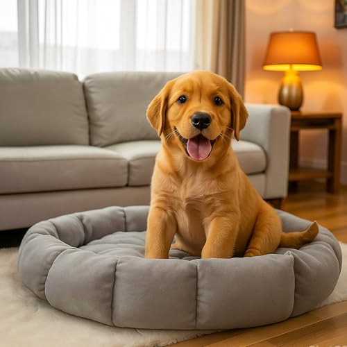 Image of Round Donut Dog Bed - Washable Plush Cushion Pet Bed with Raised Rim Support, Non-Slip & Cozy Sleeping Mat for Cats, Puppies & Small Dogs (19x19 Inch, Grey) (Grey)