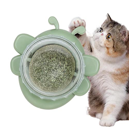 Wandkugel Katzenminze, Spielzeug Wand mit Kugel, Rolle Katzenminze in Bienenform zum Lecken von Katzen, Leckereien Wand für Katzen, Bio-Spielzeug für