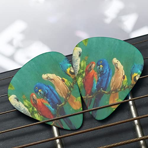 Parrots Birds Lot de 12 médiators fins moyens et lourds pour guitares acoustiques électriques - Les Beatles, Paul McCartney, John Lennon, RIngo Starr, George Harrison Parrots Birds Lot de 12 médiators fins moyens et lourds pour guitares acoustiques électriques – Image 8