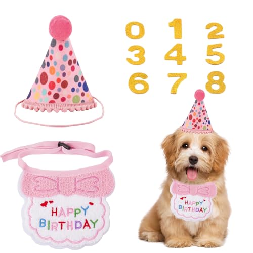  a Xq 3_Zbg  Lp aObY ybg 悾ꂩ o_i X^C t^I HAPPY BIRTHDAY t t   ybg j o[Xf[ LO p[eB[ v[g ʐ^Be ybgp