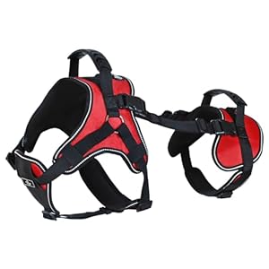 Doggie Stylz Multi-Functional Full-Body Lifting Dog Harness Vest, Designed for Front-Only, Rear-Only or Full-Body Dog Lifting. Please Measure Your Dog Before Ordering.