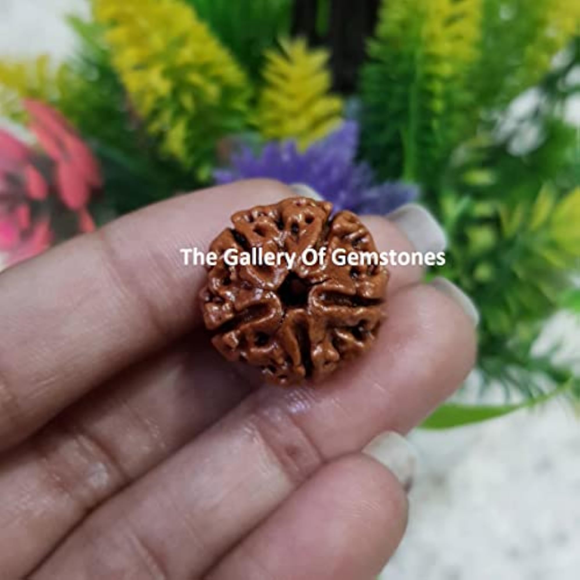 5 Mukhi Rudraksha Mala, 108 Beads, Unisex