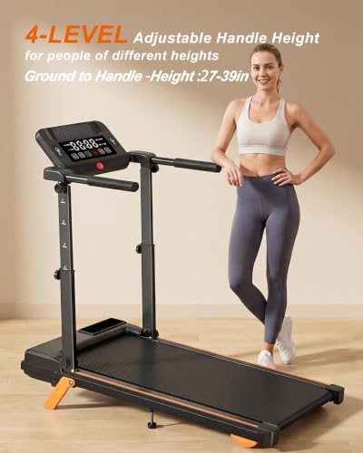 Standing treadmill desk