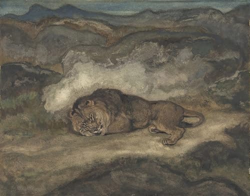 Cuadro de Leone che dorme para decoración de salones elegantes y despachos 60x90cm
