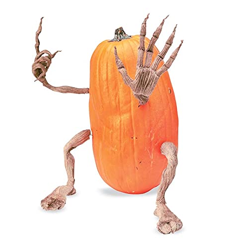 Plow & Hearth Set of 4 Bendable Pumpkin Arms and Legs 65A44 の商品画像 7