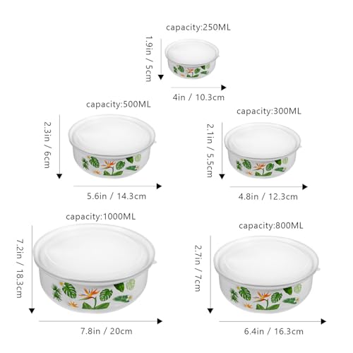 DECORNIJIA 5 z[[fޓ_T_{E Wtۑ{E X[v k[h fU[gpr  Lv sNjbNpHie