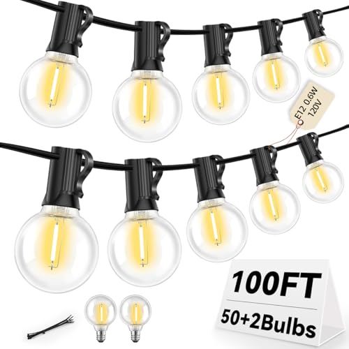 100FT G40 LED Outdoor String Lights with 50 Shatterproof Bulbs