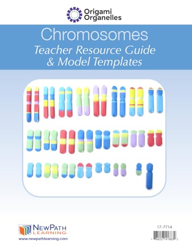 Image of Chromosomes 3-D Paper Model Making Kit - Individual Student Edition (17-7714)