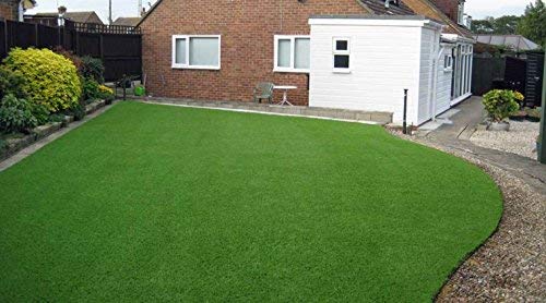 Korean grass seeds for lawn, Lawn grass seeds korean, Grass seeds for lawn korean ( 5000 seeds ) (B0BTTM72LJ) Amazon Price History, Amazon Price Tracker