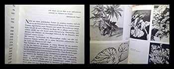 Hardcover Blumen Im Haus [German] Book